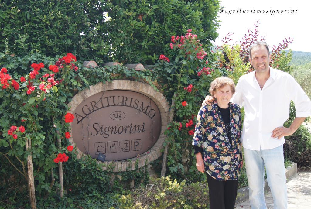 Agriturismo Signorini Orciatico Exteriér fotografie