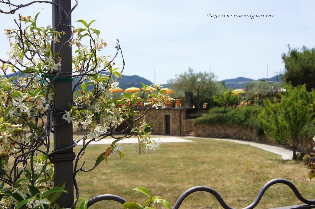 Agriturismo Signorini Orciatico Exteriér fotografie