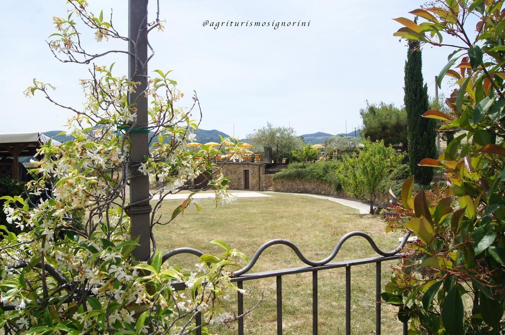 Agriturismo Signorini Orciatico Exteriér fotografie