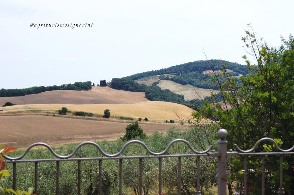 Agriturismo Signorini Orciatico Exteriér fotografie