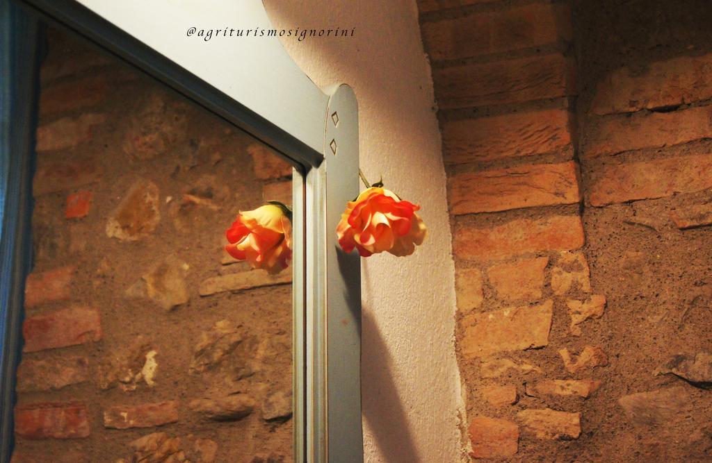 Agriturismo Signorini Orciatico Exteriér fotografie