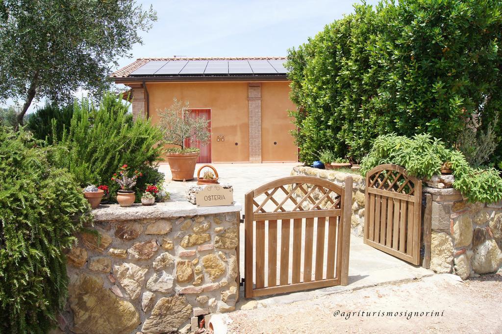Agriturismo Signorini Orciatico Exteriér fotografie
