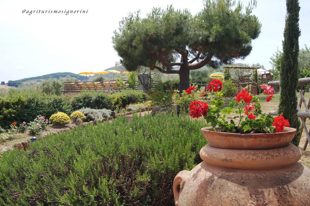 Agriturismo Signorini Orciatico Exteriér fotografie