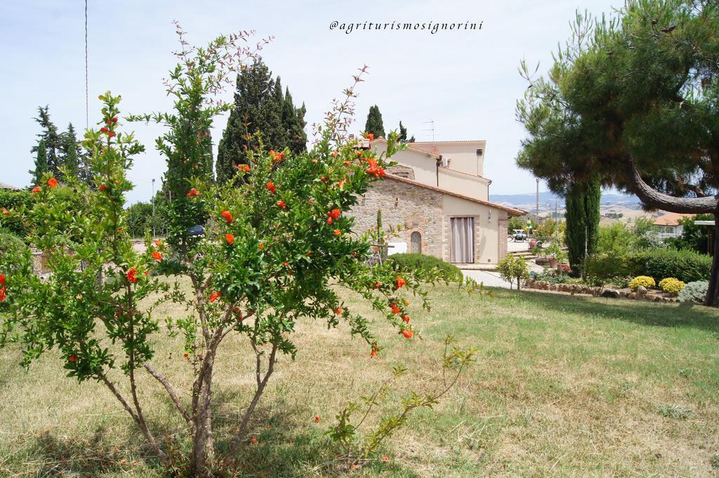 Agriturismo Signorini Orciatico Exteriér fotografie
