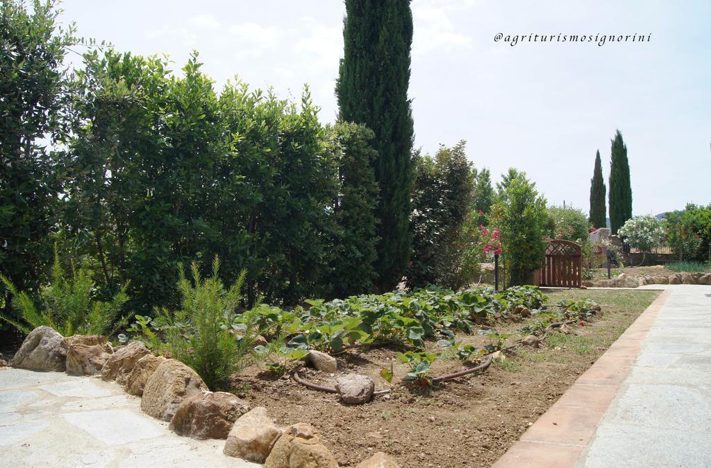 Agriturismo Signorini Orciatico Exteriér fotografie