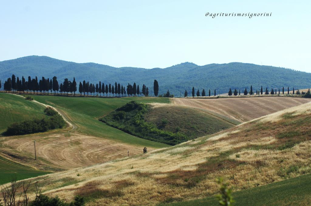 Agriturismo Signorini Orciatico Exteriér fotografie