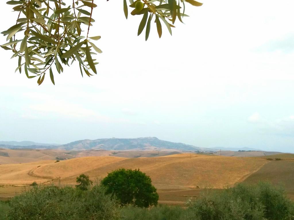 Agriturismo Signorini Orciatico Exteriér fotografie